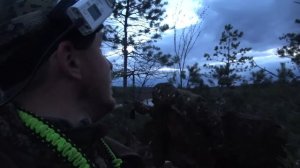 Охота на гуся на болоте #26.1 / Идеальный вечер