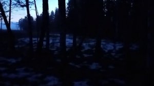 Весенняя Охота на Глухаря на току