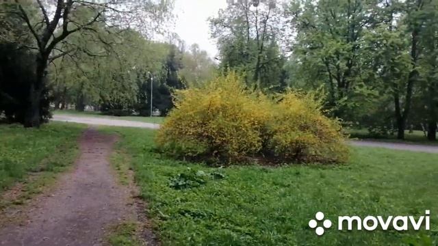 Моя еда за день. ☕ смотреть онлайн