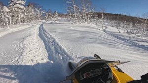 Воскресный выезд, 12.01.2025 г., снегоходы BRP TUNDRA 550LT/BRP SCANDIK 600/ARCTIK KET 570/РМ 550 1