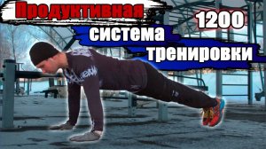 Чистые отжимания 1200 раз за 1 подход Зимняя Рабочая схема.