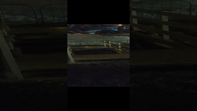 Крещение Нырять или не нырять
