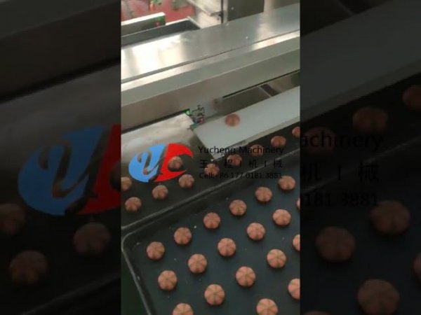 Double Color Stripe Chocolate Center Filled Cookies Making Machine