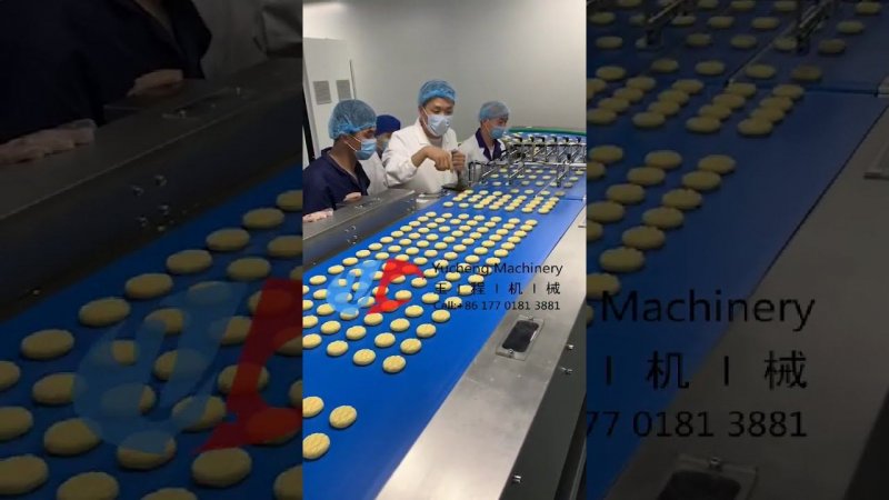 Chinese supplier full automatic tunnel oven filled cookies processing production line