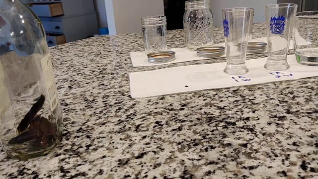 Run Strong Alcohol Through Charcoal & Dilute CORRECTLY смотреть онлайн