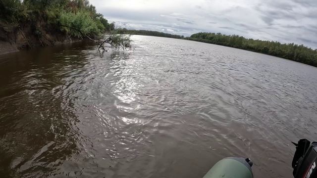 🎣ВОТ ОНА🎣#fishing #сибирия #рыбалка#ловля #рыбалка #рыбалкасибирь#ловлящуки #природа #щука
