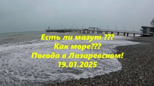 Есть ли мазут в Лазаревском??? Как море???  Погода в Лазаревском 19.01.2025. ЛАЗАРЕВСКОЕ СЕГОДНЯ