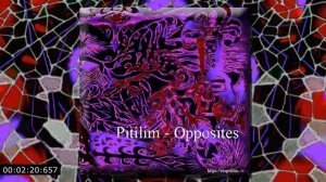 Pitilim - Opposites (Uplifting Trance)