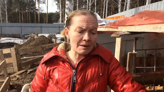 Содержание и кормление свиней/жизнь в деревне