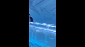 lv_0_20250119205424.mp4