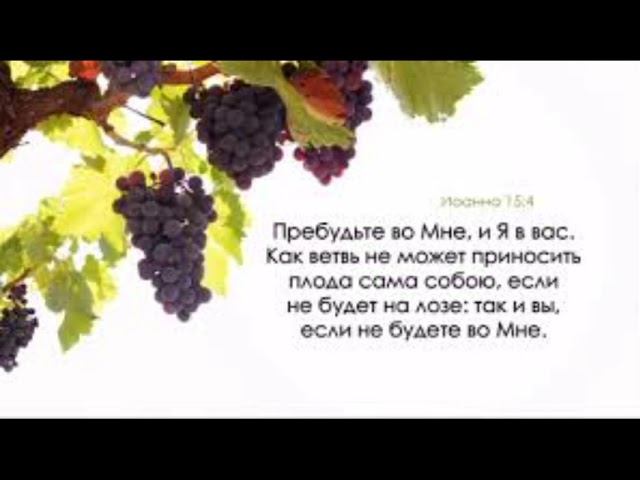 Раскаяние, покаяние, исповедь - штопать или выбросить? Цель похода, человек в шкафу и служение себе.