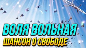 ВОЛЯ ВОЛЬНАЯ 👑 ПЕСНИ О СВОБОДЕ 👑 ЛУЧШИЕ ПЕСНИ ШАНСОНА И БЛАТНЫЕ ХИТЫ (Сборник 2020) | Русский шансо