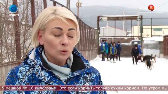 27.11.2020 40 килограммов кормов передали южносахалинцы приюту для животных