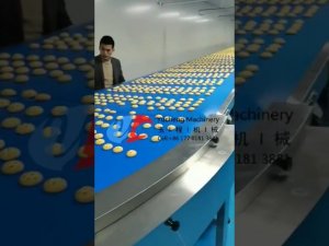 Chinese supplier full automatic center filling soft cookies encrusting machine production line