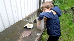 СБОР ВИНОГРАДНЫХ УЛИТОК