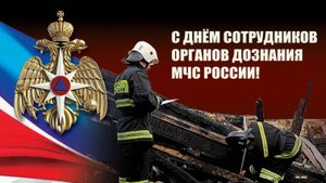 День сотрудников органов дознания МЧС России