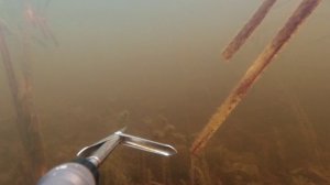 Зимняя подводная охота. Январь 2025.