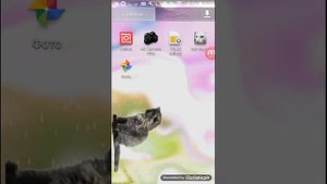 Гуляющий кот в телефоне😕😕😕😕 Ч.О.