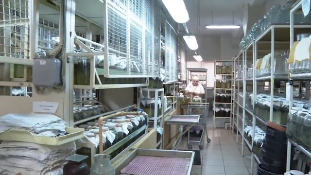 «Волонтеры культуры»