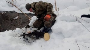 копаю дождевых червей зимой под снегом