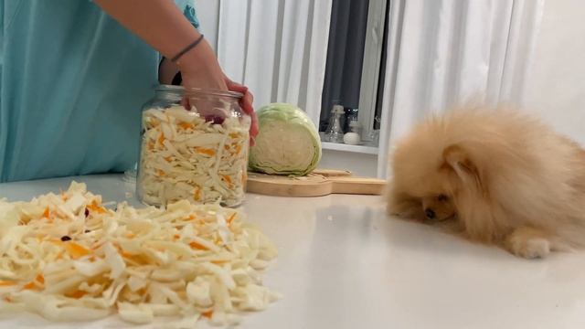 Самый вкусный рецепт квашеной капусты от Яроши смотреть онлайн