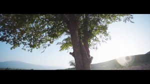 Самара Сабирова - Жалгыз дарак / Жаны клип 2019