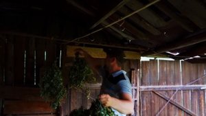 КУПИЛ 2 ДОМА В ДЕРЕВНЕ | ГОТОВИМСЯ К РЕМОНТУ | НАШЕСТВИЕ ОС НА ЗАИМКЕ