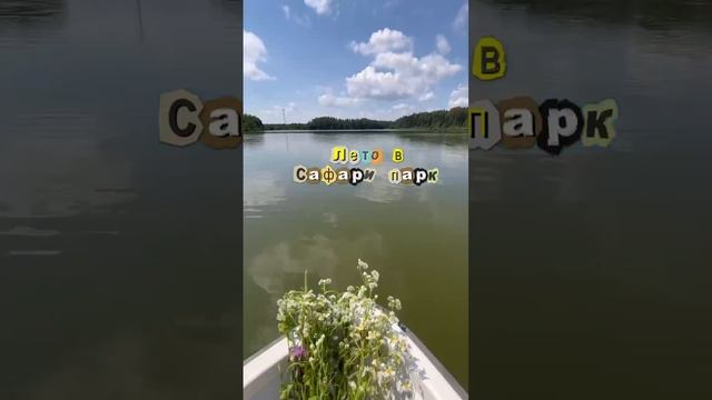 Лето в Сафари-Парке