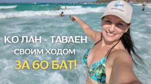 🏝️Ко Лан за 60 бат - быстрый маршрут без переплат! Лайфхак для путешественников 🚤🔥