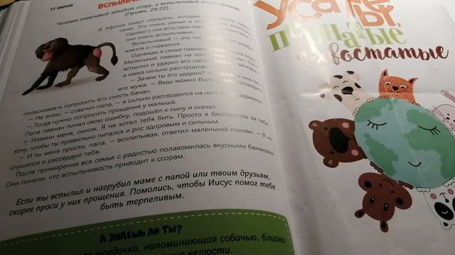 17 июня. Вспыльчивый павиан. смотреть онлайн