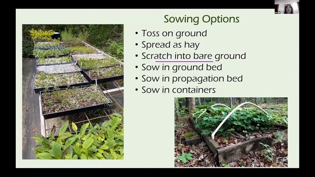 TNPS Seminar 7/20/21 смотреть онлайн