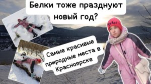 Влог КИТЕН [ПРОГУЛКА]