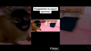 (Шлёпа) Ограбление Пятёрочки (оригинал!!)