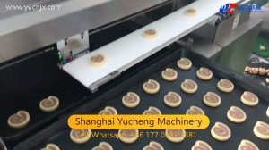 E letter Spiral Shape Round Ice box cookies slicing cookies making machine