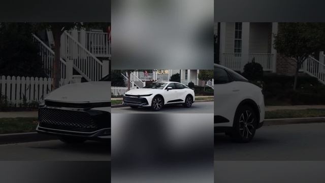狒狒揚揚？！Toyota Crown 👑  不是貴族世家喔 是Crown