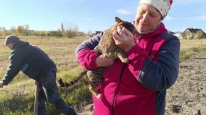 Загораживаем огород. Съездили в гости и перевезли саженцев. Подготовка двора к зиме.