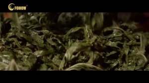 ЛЕГЕНДА О ЧАЕ «SHUN CI» #ПОДАРОК ИМПЕРАТОРА