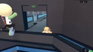 😼мм2,но мы мини-котики || roblox,mm2😼