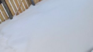 Два кота 😽😽.Продолжение следует.