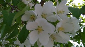 Приятно и неожиданно