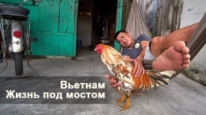 Улочки, рынки, дома рыбаков-крестьян. Вьетнамцы - добрые ребята.