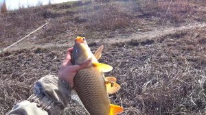 САЗАНЧИКИ И КАРАСИ!!! ВЕСНА