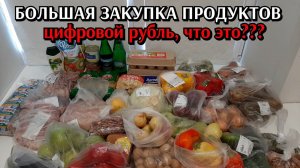 большая закупка продуктов / цифровой рубль / цены на продукты