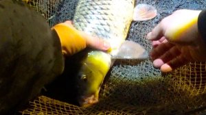 САЗАНЫ И КАРАСИ ЗИМОЙ !!! РЫБАЛКА !!!