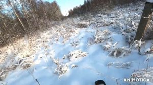 Покатушки