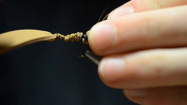 Tying the Dragonfly смотреть онлайн