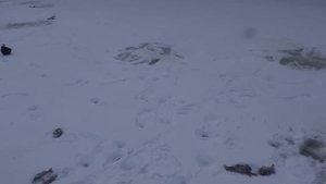 Рыбалка на хариуса и окуня/рыба клюет/погода сказака