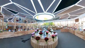 25 мая 2024 г.