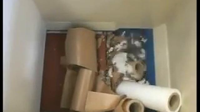 Измельчение бумажных рулонов смотреть онлайн