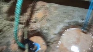 Абиссинка в Лаврово. очень слабый водонос, но другого нет